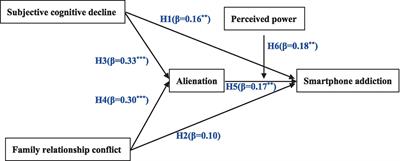 Understanding older adults’ smartphone addiction in the digital age: empirical evidence from China